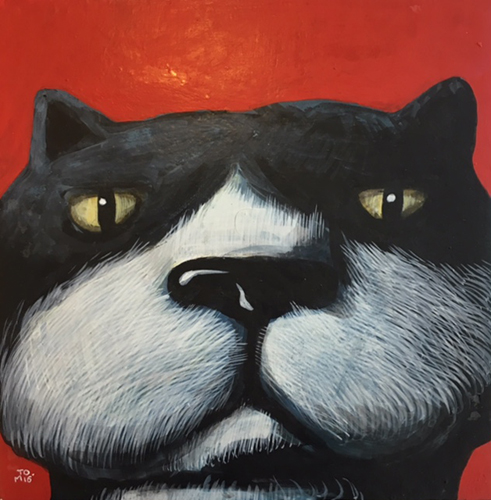 Tomoya Moriizumi | A Cat