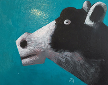 Tomoya Moriizumi | A Cow